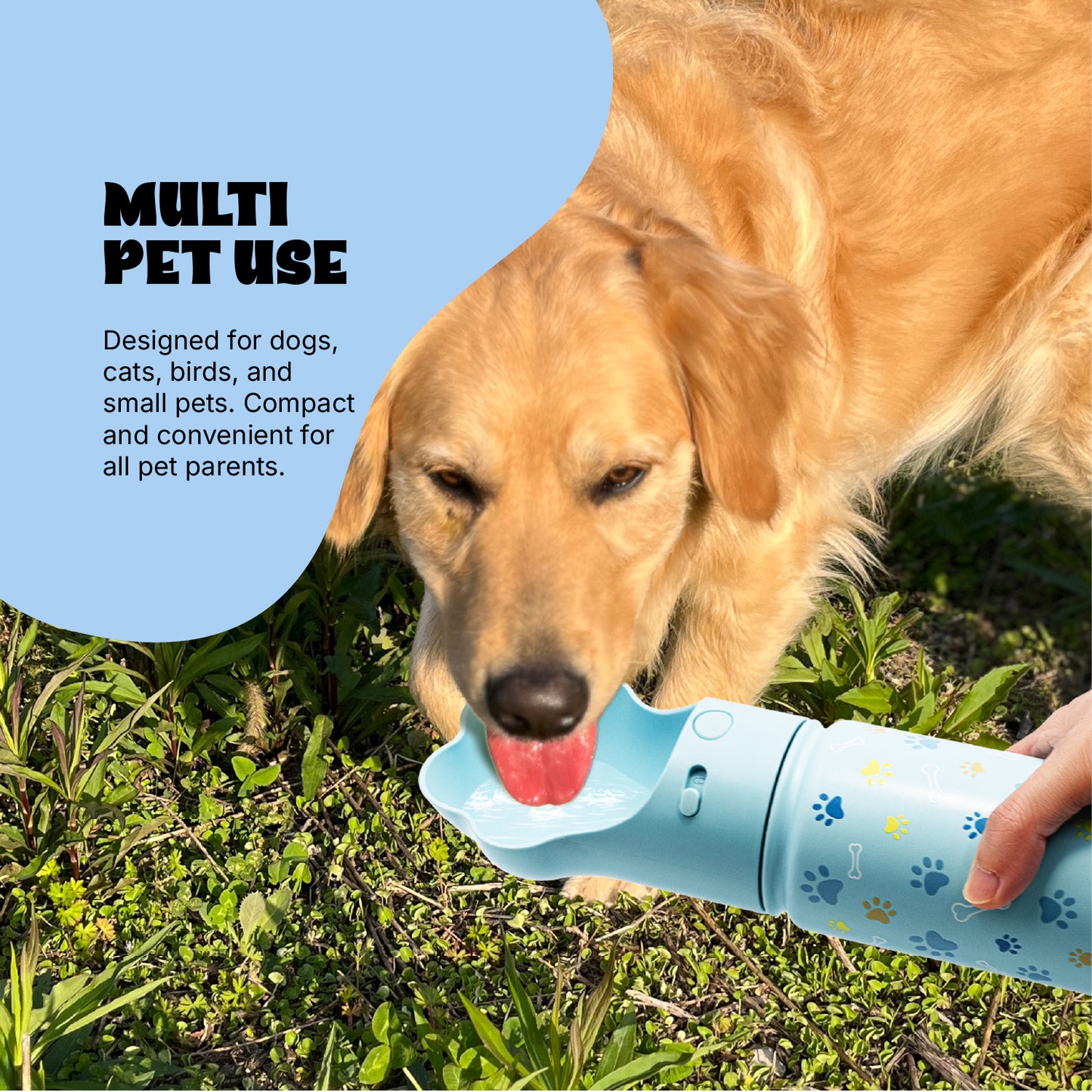 PAWRA – 18oz Premium Double Wall Stainless Steel Dog Water Bottle | Leak-Proof, Zero Waste, All-Season