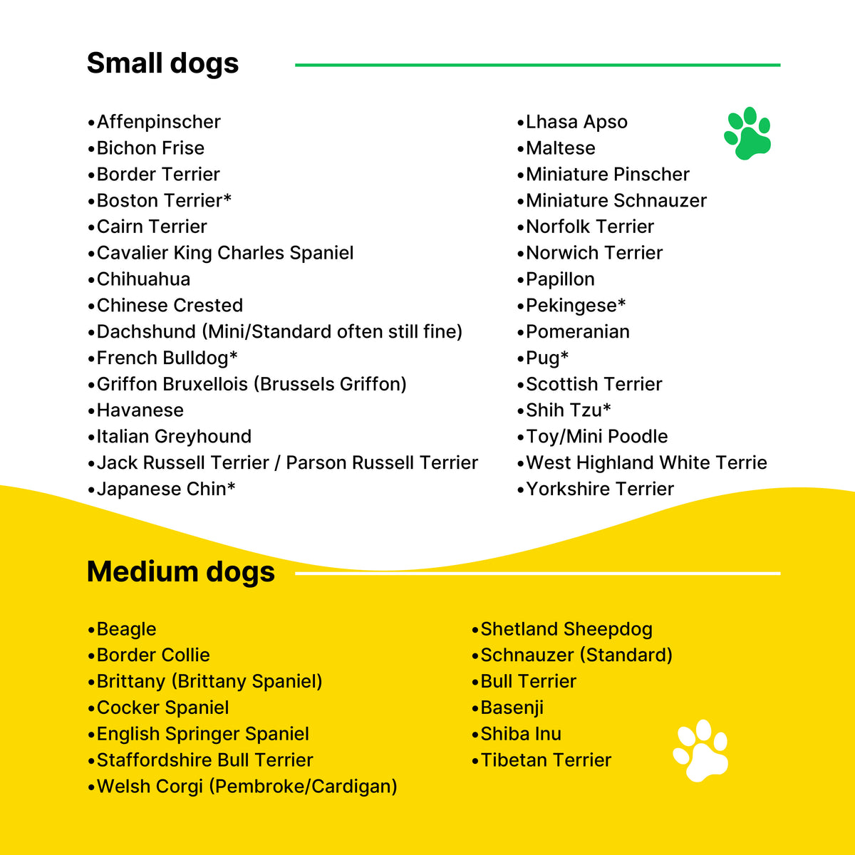 Insulated Dog Water Bottle - Yellow #Yellow
