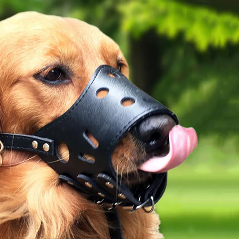 Muzzles