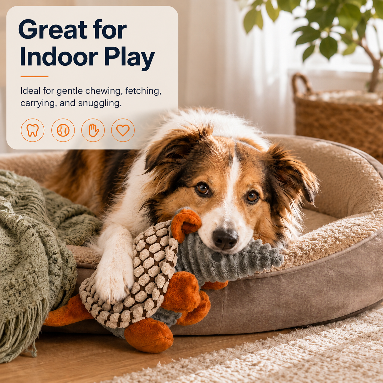 Sir Snout-a-Lot the Anteater Plush Dog Toy – Soft Squeaky Corduroy Dog Toy with Textured Shell & PP Cotton Filling – Cute Plush Toy for Gentle Chewing, Fetch, Carrying & Indoor Play