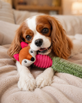 Lovable Livings Pack Of 3 Plush Dog Chew Toys with Textured Rubber Bodies, Cute Fox, A Ferret & Raccoon Puppy Toys, Soft Fuzzy Tails, Interactive Fetch, Tug & Teething Toys for Small Medium Dogs
