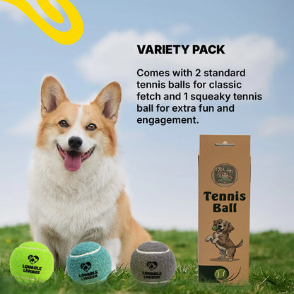 LOVABLE LIVINGS Dog Tennis Ball Box – 2 Durable Rubber Balls + 1 Squeaky Ball for Fetch & Play