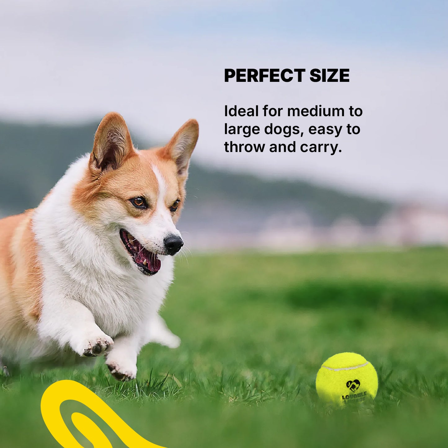 LOVABLE LIVINGS Dog Tennis Ball Box – 2 Durable Rubber Balls + 1 Squeaky Ball for Fetch & Play