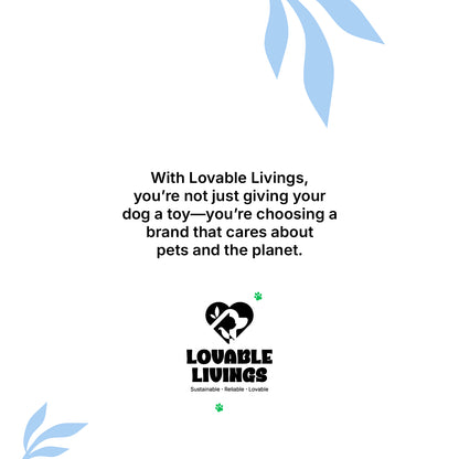 LOVABLE LIVINGS Dog Tennis Ball Box – 2 Durable Rubber Balls + 1 Squeaky Ball for Fetch & Play