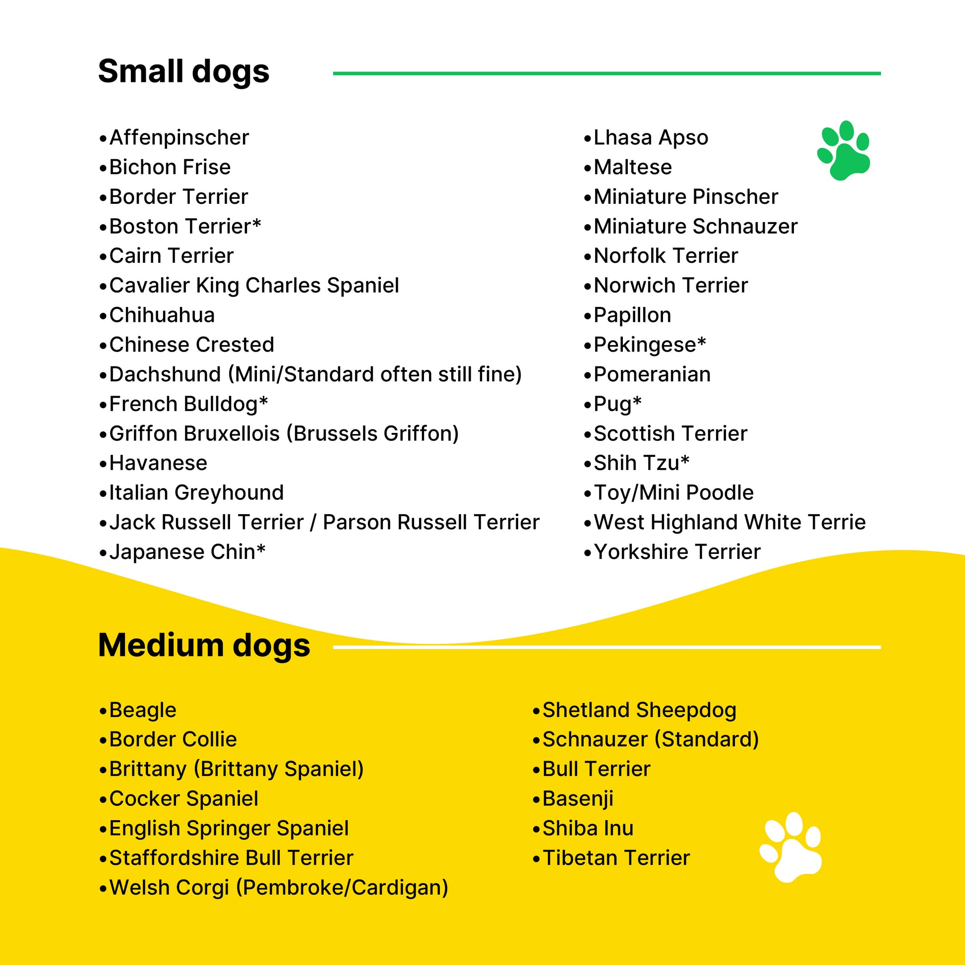 Insulated Dog Water Bottle - Yellow #Yellow