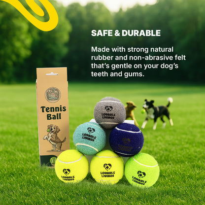 LOVABLE LIVINGS Dog Tennis Ball Box – 2 Durable Rubber Balls + 1 Squeaky Ball for Fetch & Play